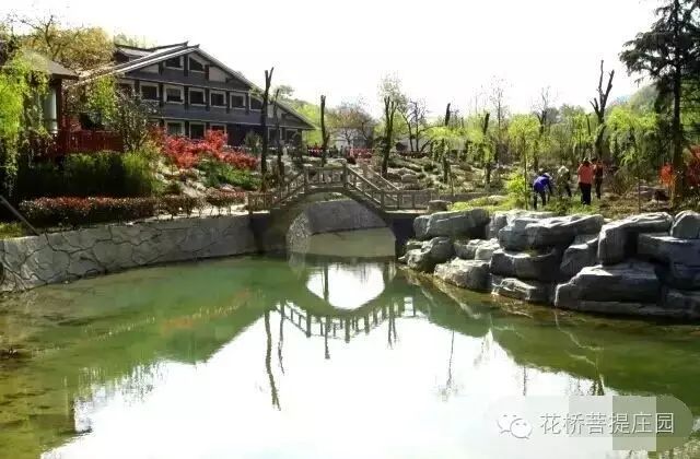 這個(gè)周末，隴南康縣花橋有大事要發(fā)生？