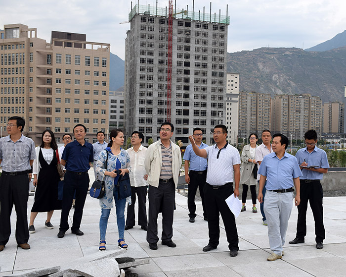 省、市聯(lián)合工作組蒞臨階州廣場檢查指導(dǎo)工作