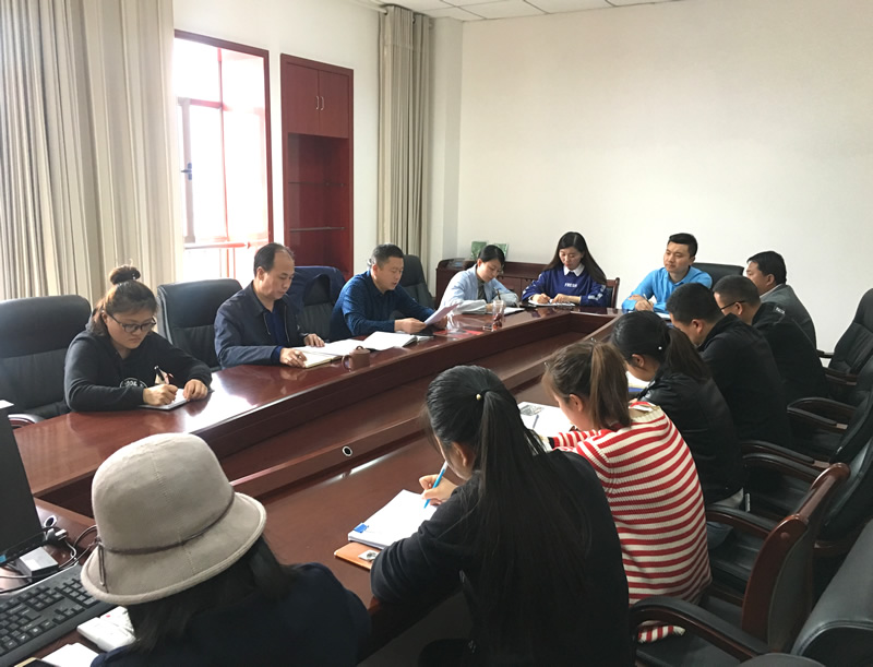 市龍江城鄉(xiāng)發(fā)展集團專題學習近期中央、省、市紀律檢查委員會議精神